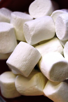 s calorie-free together with tastes build clean together with fresh together with minty Pie No. xvi – Grasshopper Pie