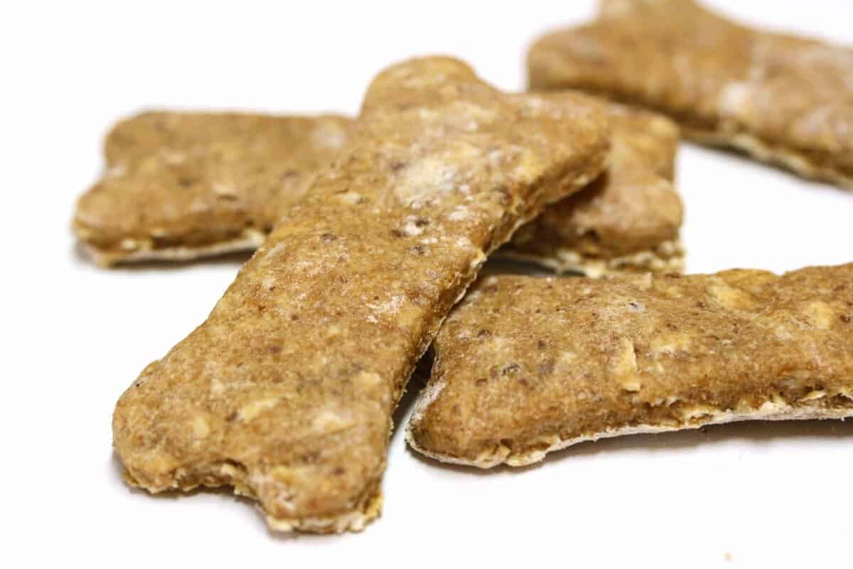 peanut butter filled dog treats