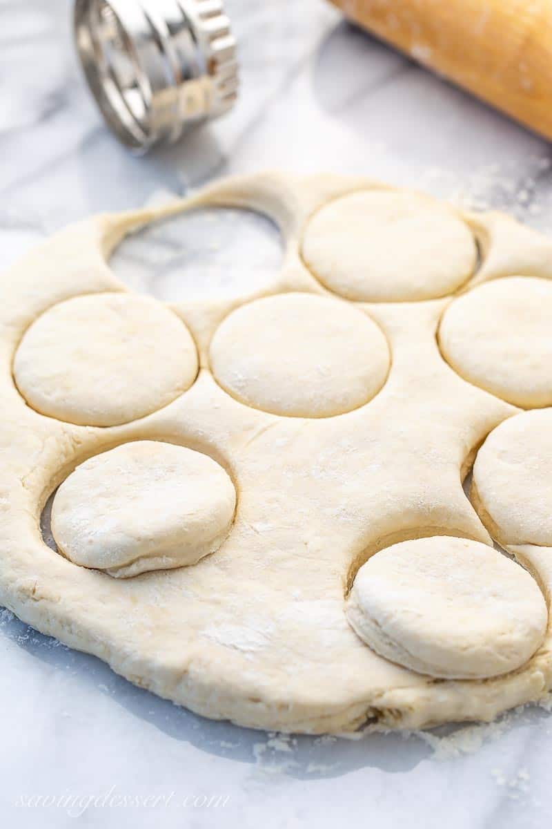 yeast dough rolled out with rounds cut out