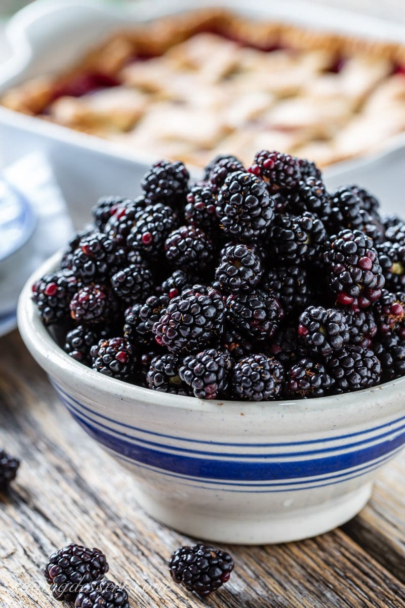 fashioned blackberry cobbler amongst a lattice transcend in addition to a bowl of fresh blackberries Old-Fashioned Blackberry Cobbler