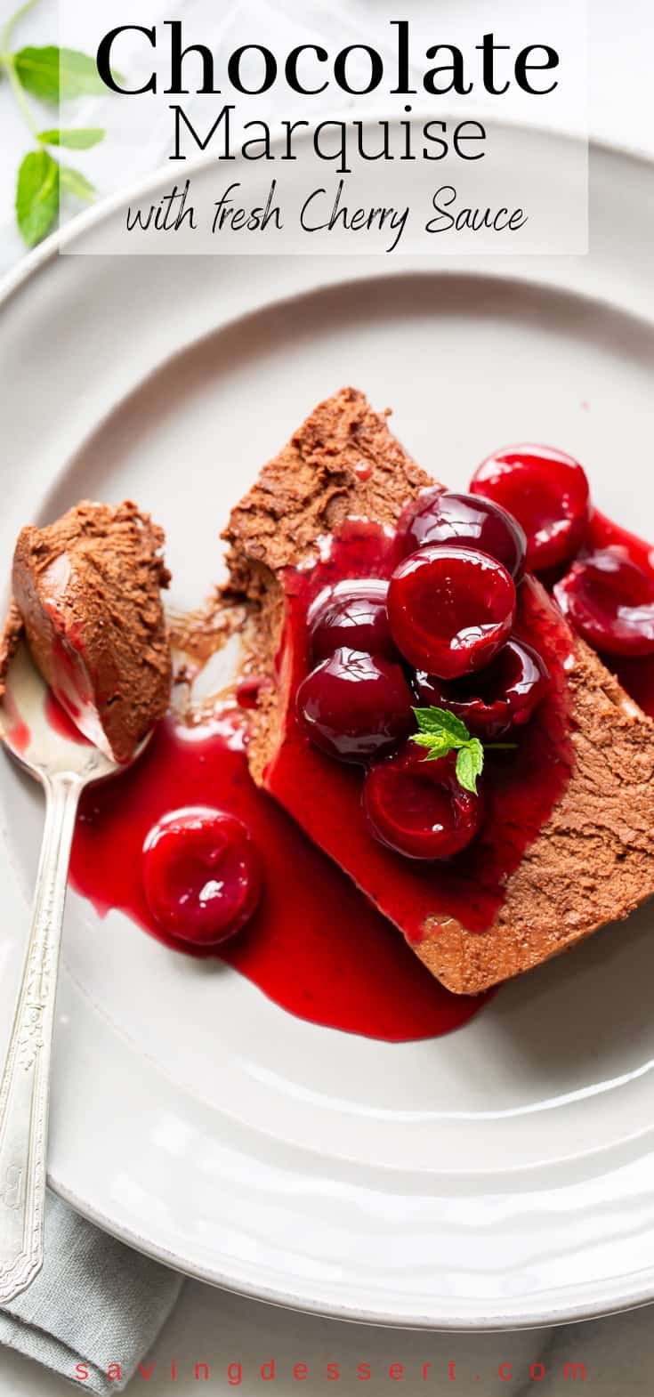 A plate with a slice of chocolate semifreddo topped with fresh cherry sauce