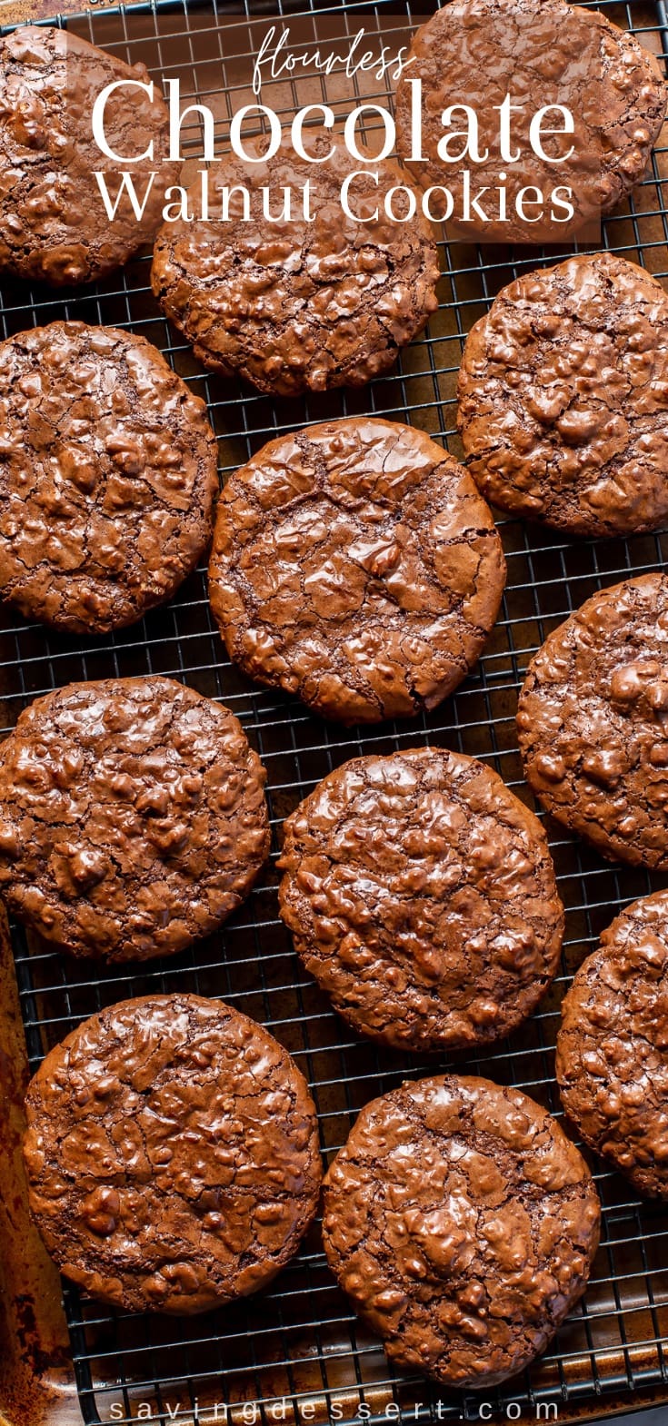 A cooling rack covered with chocolate walnut cookies