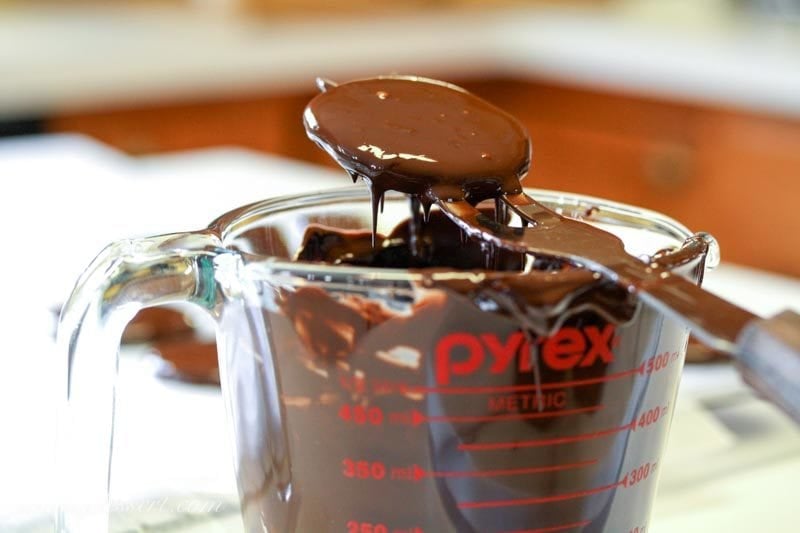 chocolate cookies dipped in melted chocolate