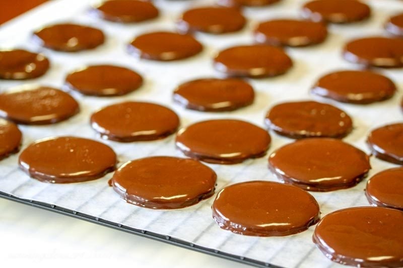 chocolate cookies dipped in melted chocolate 