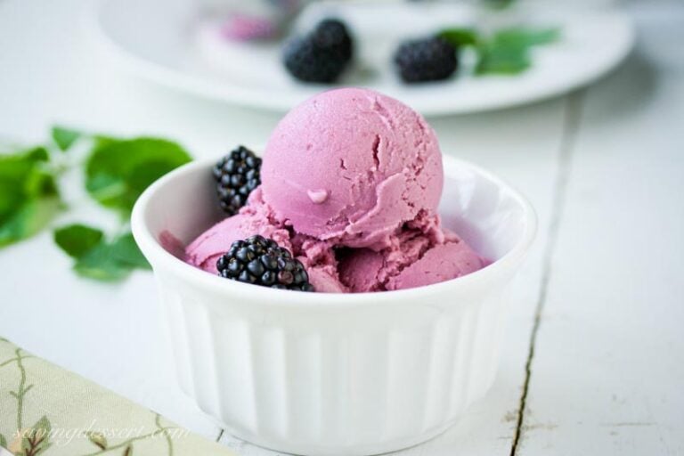 Blackberry Frozen Yogurt Saving Room for Dessert