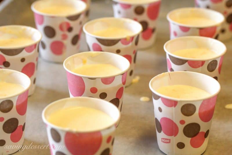 Fuzzy Navel Cream Pops (2 recipes!)