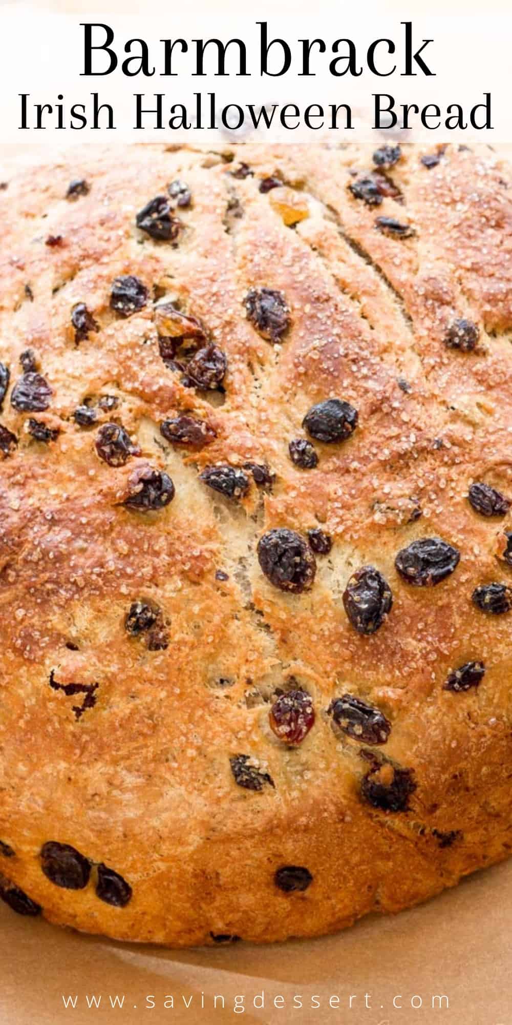 A closeup of a loaf of barmbrack bread filled with raisins