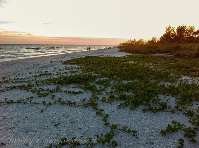 I bought a novel photographic tv set camera 2 days earlier nosotros left on opor-garai thus naturally I wanted to larn Sanibel Island Florida – a wonderful vacation