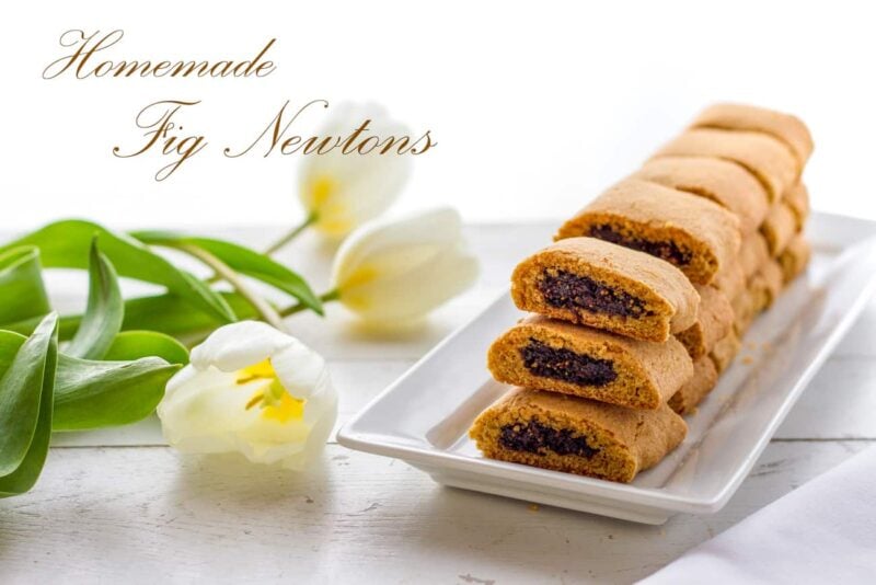 Homemade Fig Newtons | www.savingdessert.com