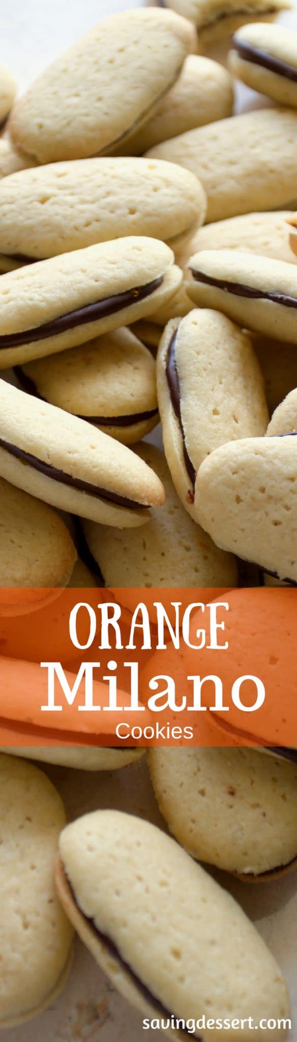 Homemade {CopyCat} Orange Milano Cookies ~ delicious vanilla cookies with a dark chocolate center flavored with orange zest www.savingdessert.com