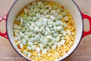 Succotash-6