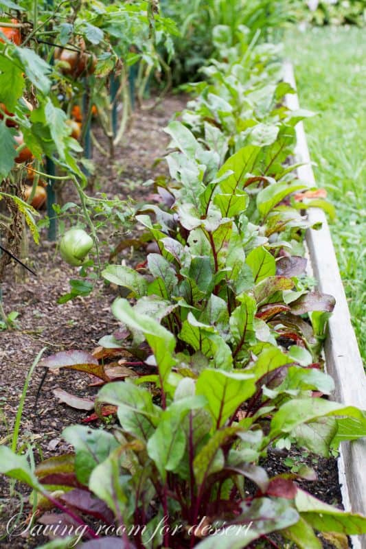 Beet, Avocado and Pea Salad-1