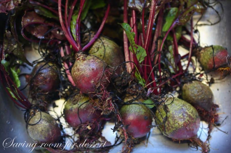 Beet, Avocado and Pea Salad-2