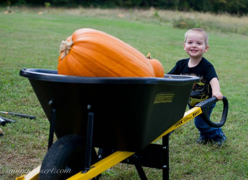 Isaac Pumpkin 2014-5