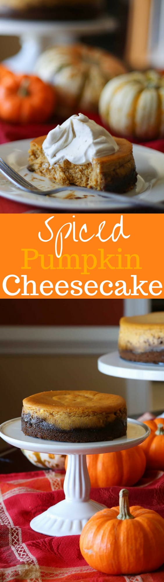 Spiced Pumpkin Cheesecake amongst Gingersnap Crust Spiced Pumpkin Cheesecake amongst Gingersnap Crust