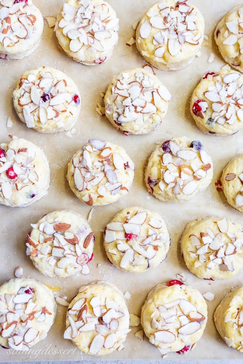 Round cranberry almond scones topped with almonds getting ready to go in the oven