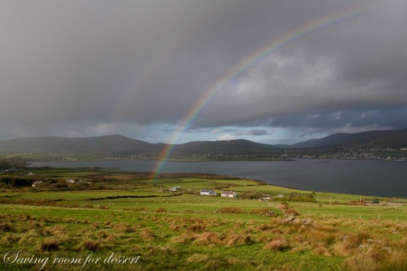Dingle Ireland 2014-13
