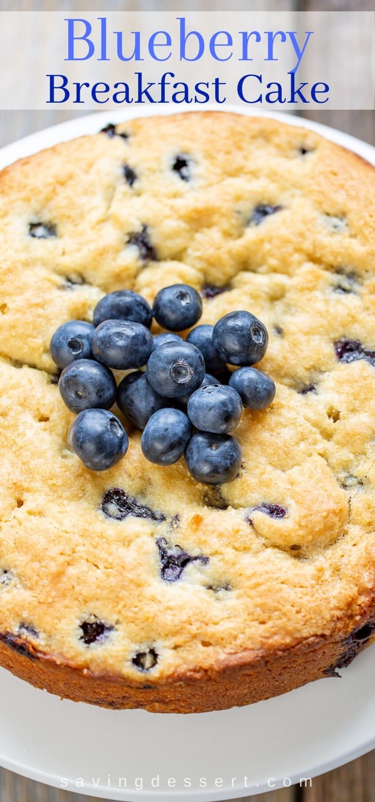 A blueberry breakfast cake topped with fresh blueberries