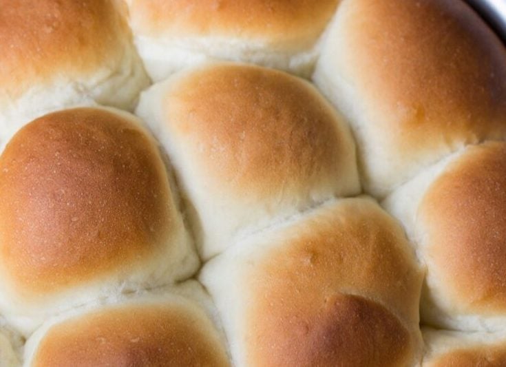 An overhead view of a pan filled with yeast rolls