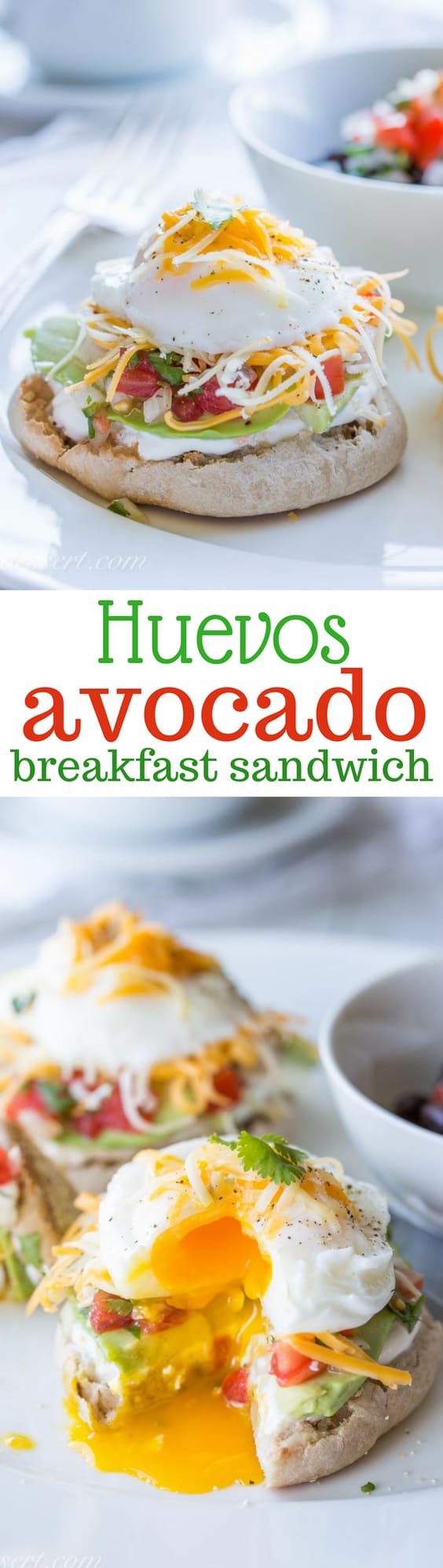 Huevos Avocado with Pico de Gallo - a terrific breakfast sandwich loaded with fresh pico de gallo, cheese, and perfect poached eggs. www.savingdessert.com