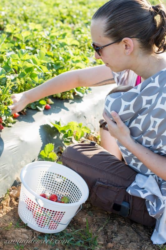 A lady sitting in a strawberry patch picking fresh strawberries