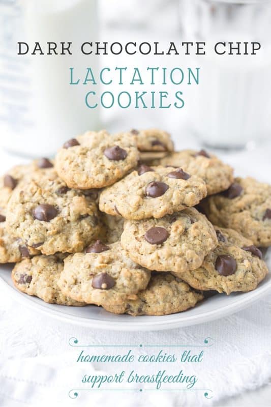 Dark Chocolate Chip Lactation Cookies - homemade cookies that help support breastfeeding