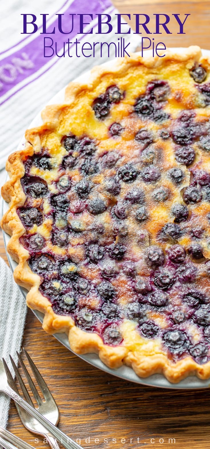 Blueberry Buttermilk Pie - classic buttermilk pie updated with plump blueberries for a match made in pie heaven! #buttermilkpie #pie #blueberrypie #dessert #blueberrybuttermilkpie #baking