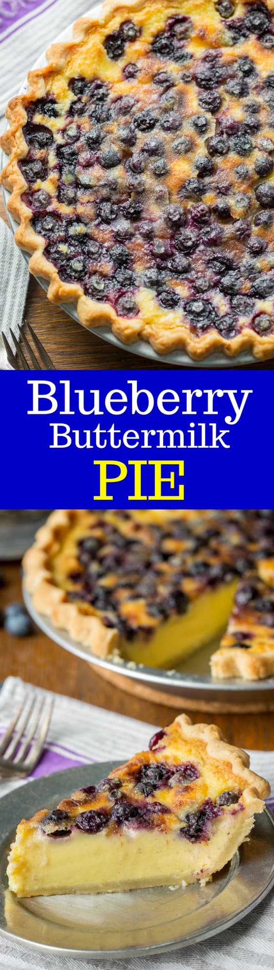 Blueberry Buttermilk Pie a creamy, tangy, sweet and delicious pie that will delight your guests!