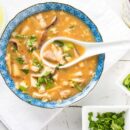 A bowl of Hot and Sour Soup garnished with green onions and cilantro