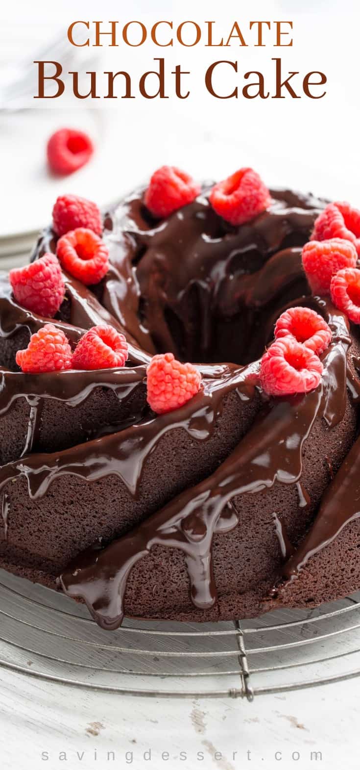 Side view of a chocolate bundt cake drizzled with chocolate icing and topped with fresh raspberries