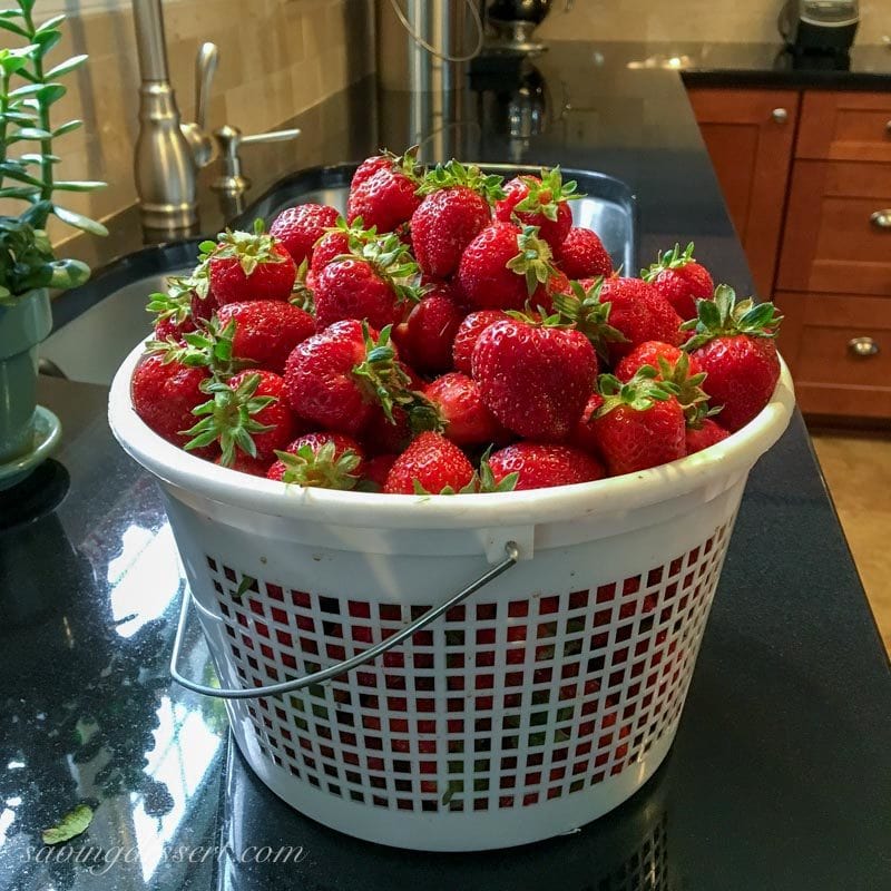 A basket filled with fresh picked strawberries