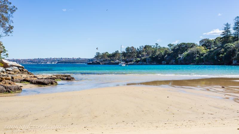 A view of Collins Beach with sailboat, Manly, Sydney Australia