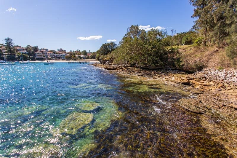 Little Manly Cove with sailboats and houses and a rocky shore line near Sydney Australia