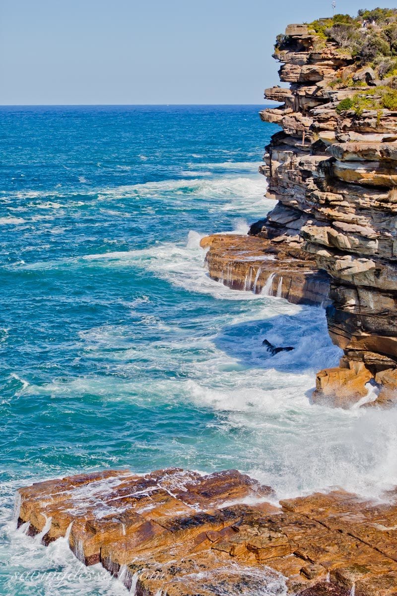Crashing waves on the walk around Watsons Bay near Sydney Australia