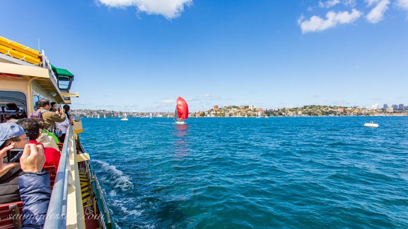 sailboats near Sydney Australia