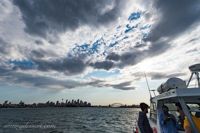 Sunset shot of downtown Sydney from the whale watching excursion boat