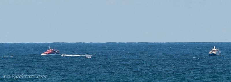Whale watching boats in the Pacific Ocean off the coast of Sydney Australia