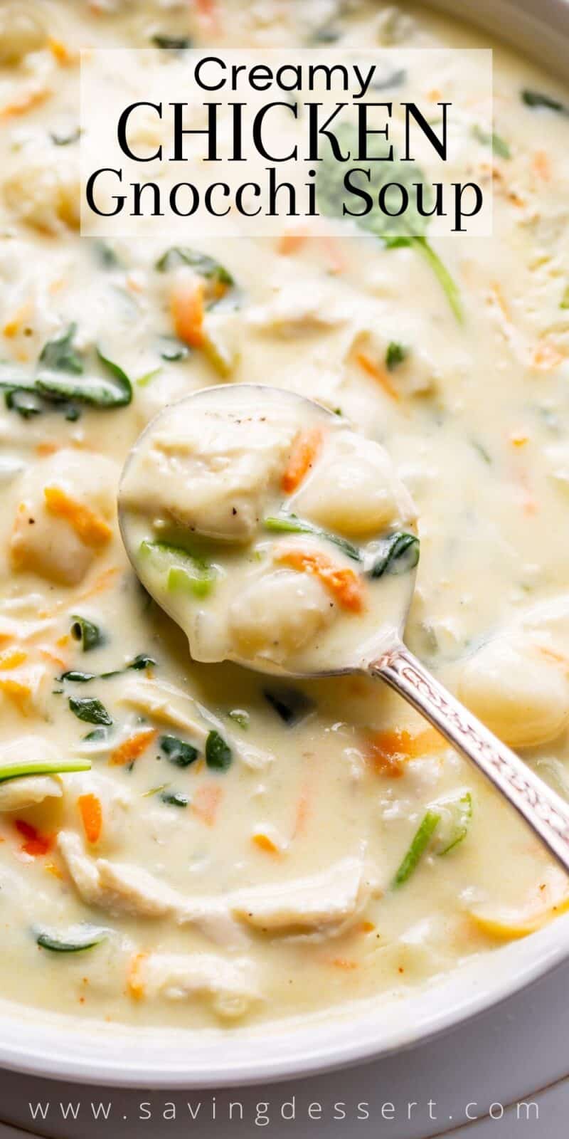 Closeup of a bowl of creamy chicken, spinach and gnocchi soup