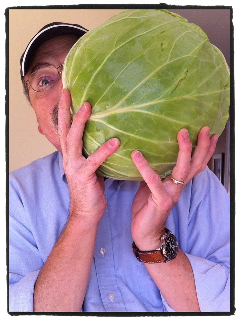 Giant Cabbage Head