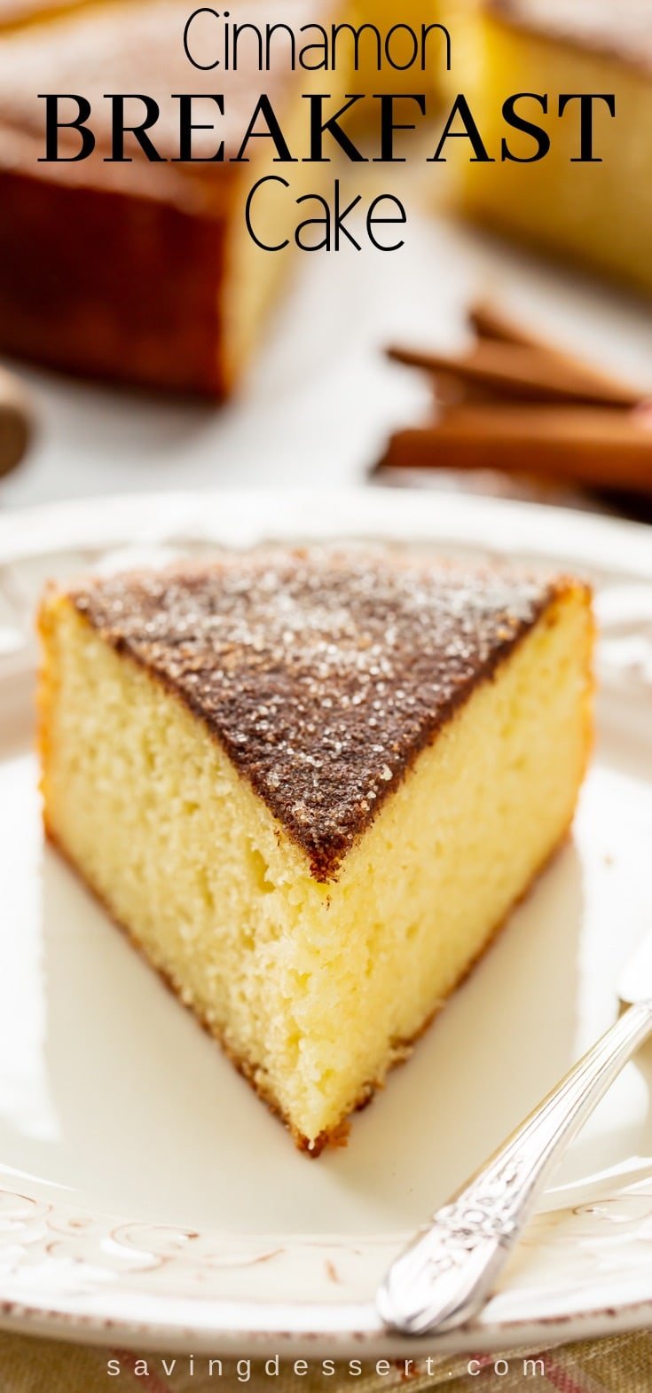 Cinnamon Breakfast Cake - tastes like a big, soft snickerdoodle! #cinnamoncake #cake #breakfastcake #coffeecake #brunch #cinnamonbreakfastcake #easycake #nomixercake #breakfast