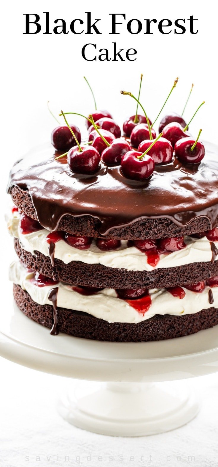  Black Forest Cake alongside a whipped cream filling together with fresh cherry garnish Black Forest Cake Recipe
