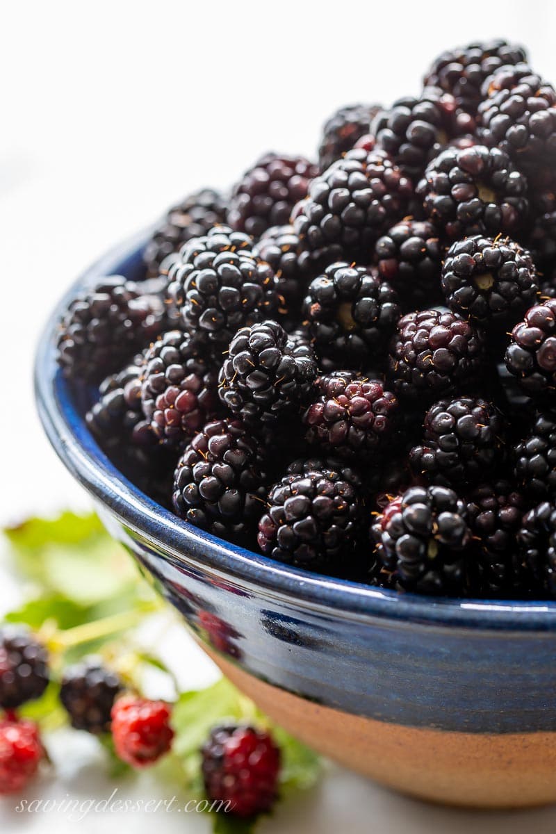 A bowl of fresh picked blackberries 