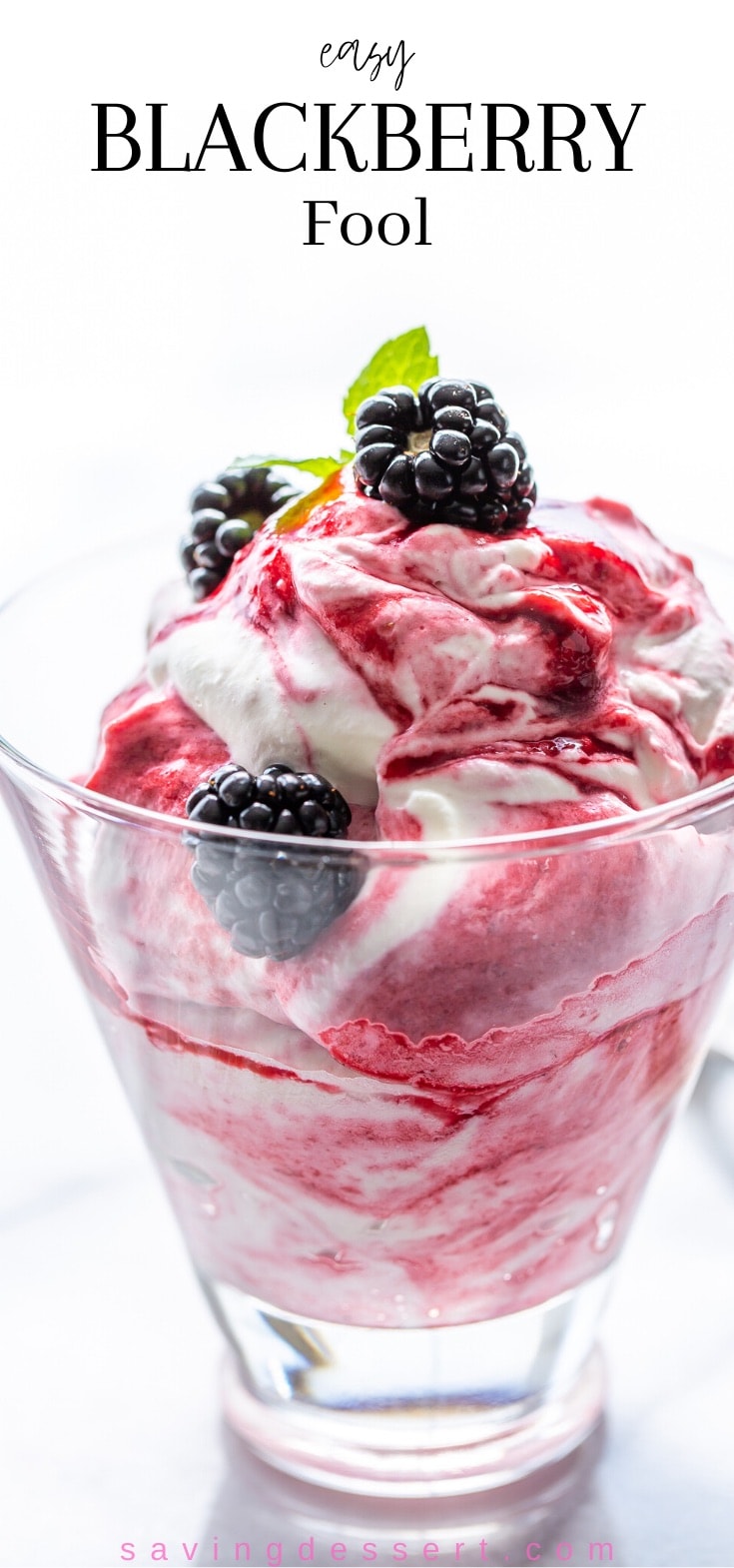 A closeup of a glass filled with a Blackberry Fool dessert topped with fresh blackberries and fruit mint leaves