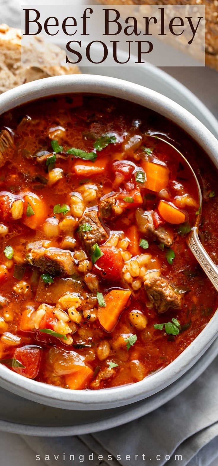 A closeup of a bowl of beef barley soup