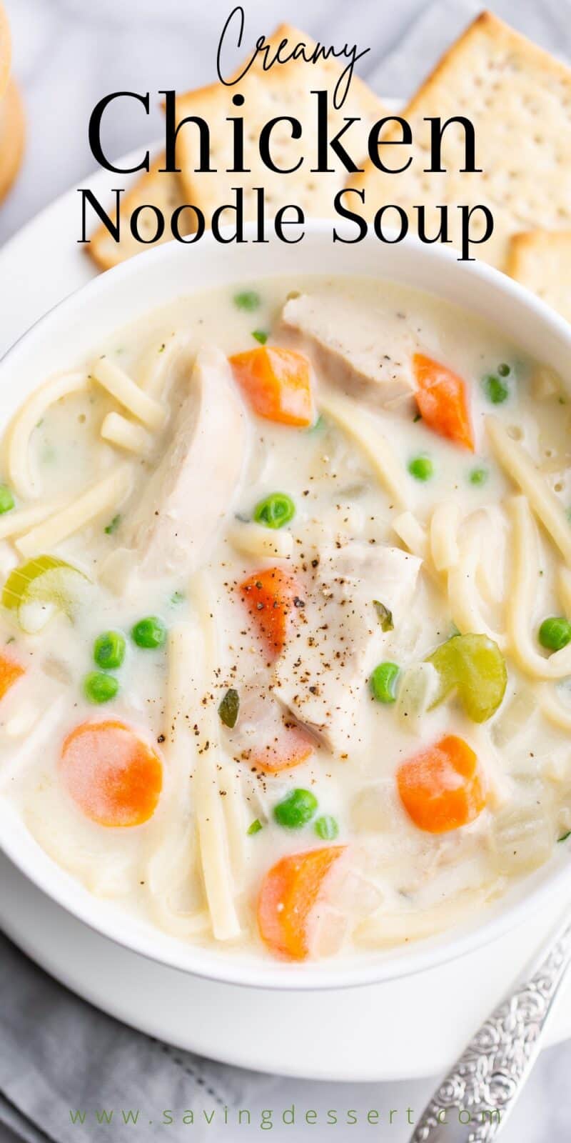 Closeup of a bowl of creamy chicken noodle soup with carrots and celery