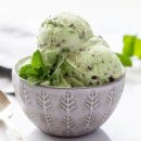 Closeup of a bowl of ice cream garnished with a sprig of mint