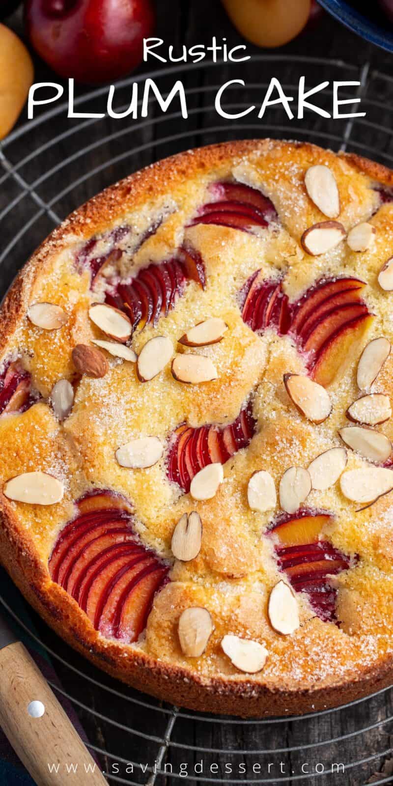 Overhead view of a simple rustic plum cake with sliced almonds on top