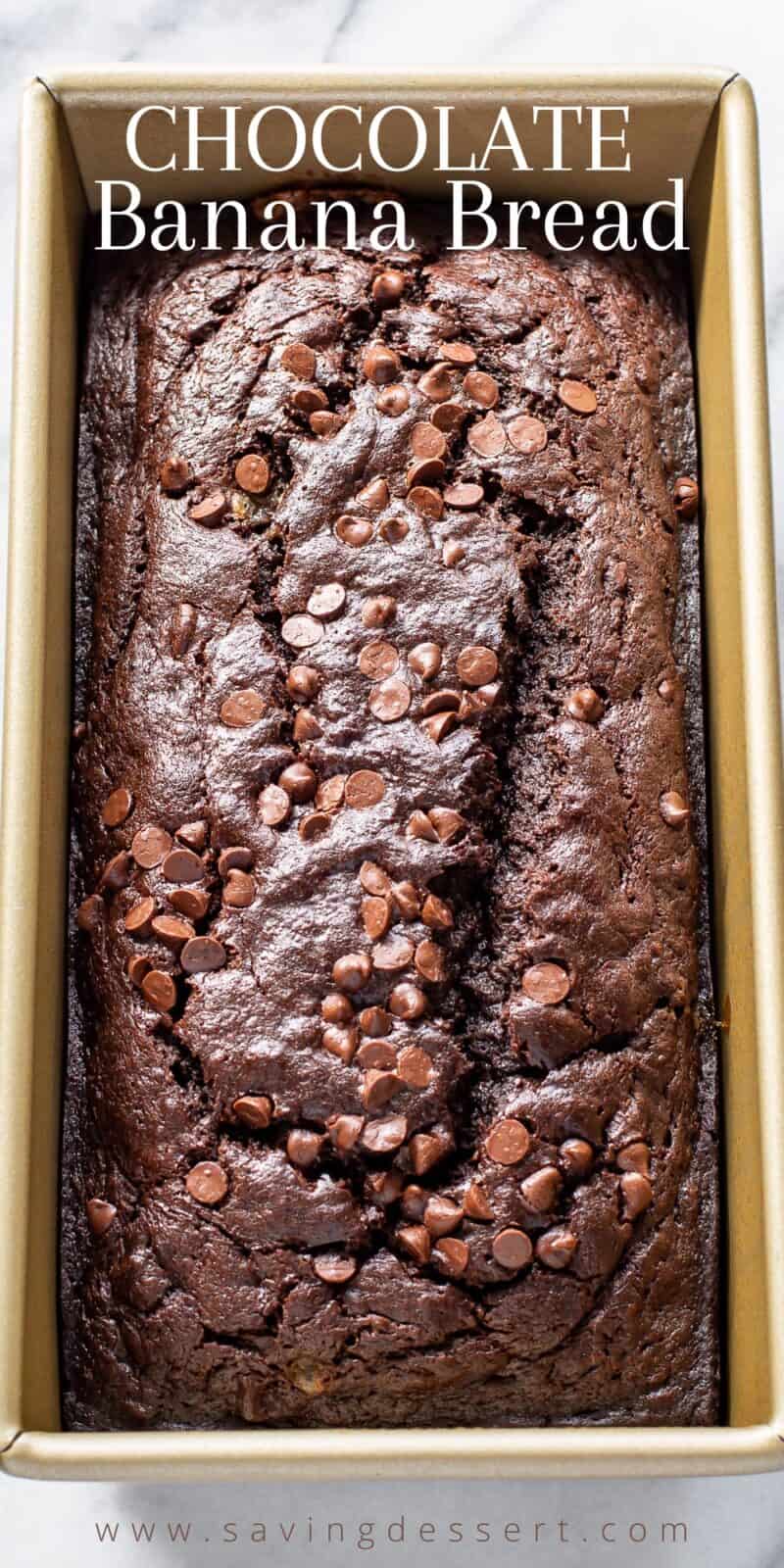 Just baked loaf of chocolate banana bread topped with melted mini chocolate morsels