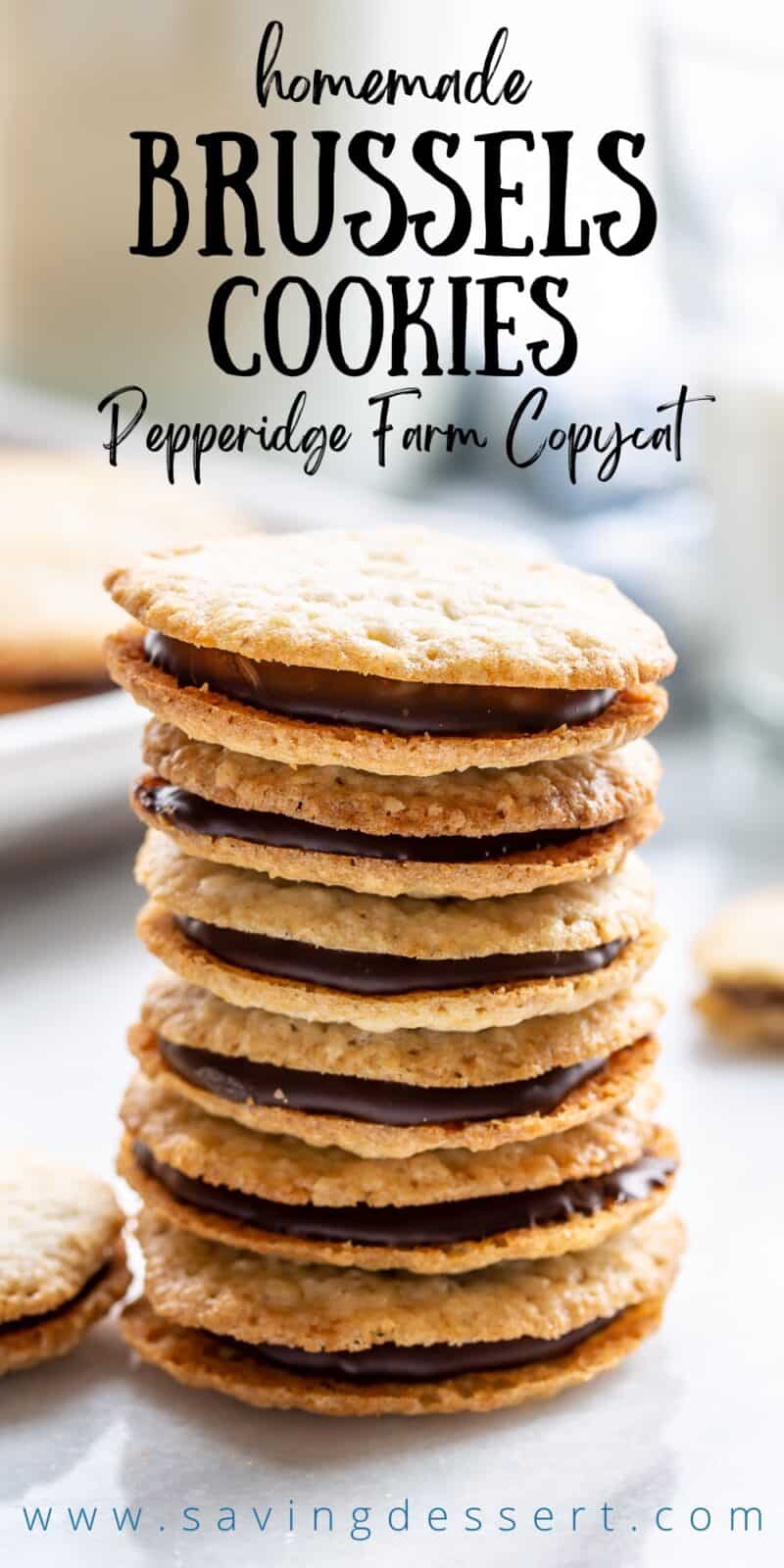 A side view of a stack of chocolate filled brussels cookies