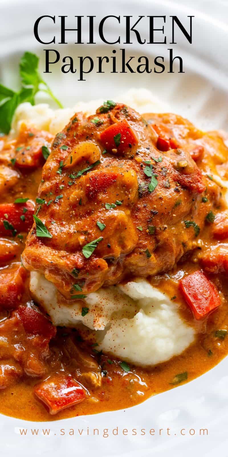 closeup photo of a bowl filled with mashed potatoes topped with chicken paprikash